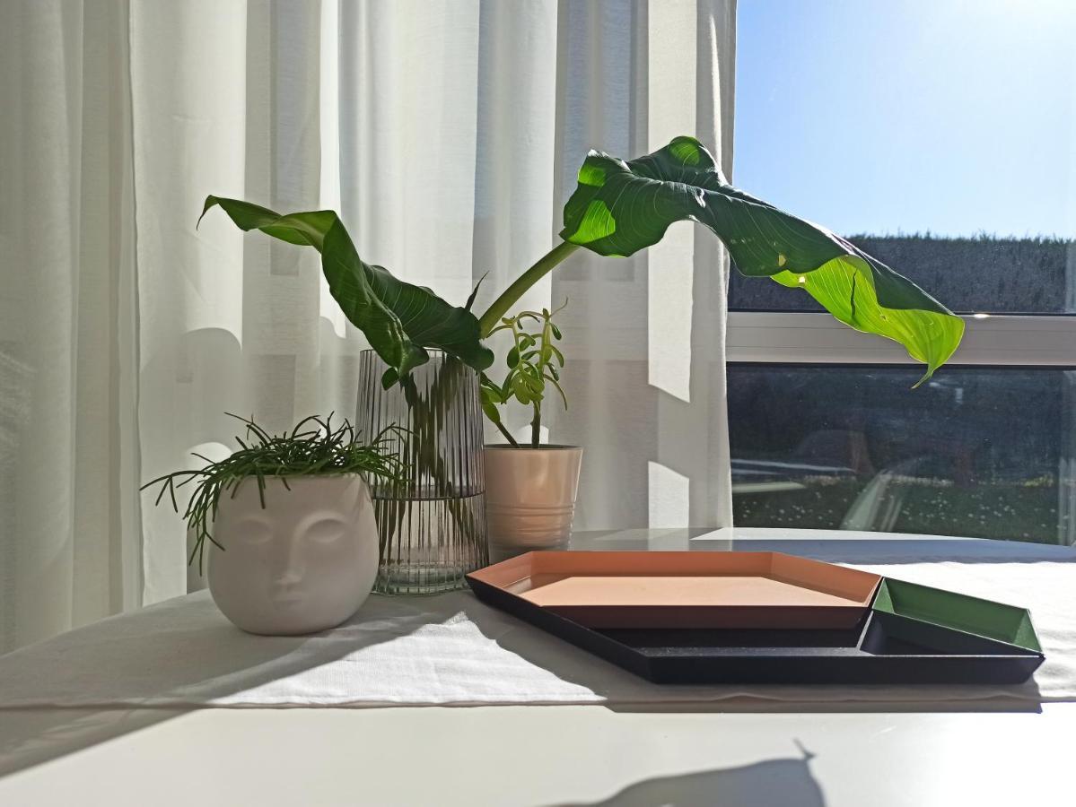 Appartamento Bajo Con Jardin Privado Santander Esterno foto