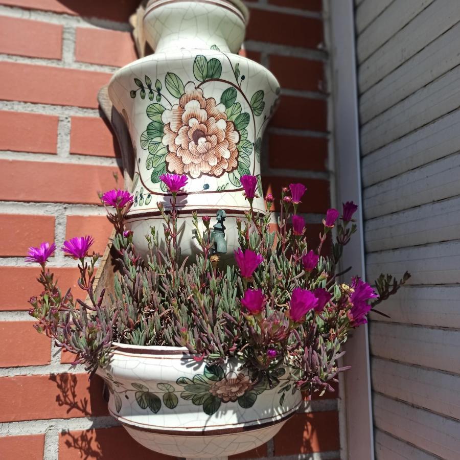 Appartamento Bajo Con Jardin Privado Santander Esterno foto